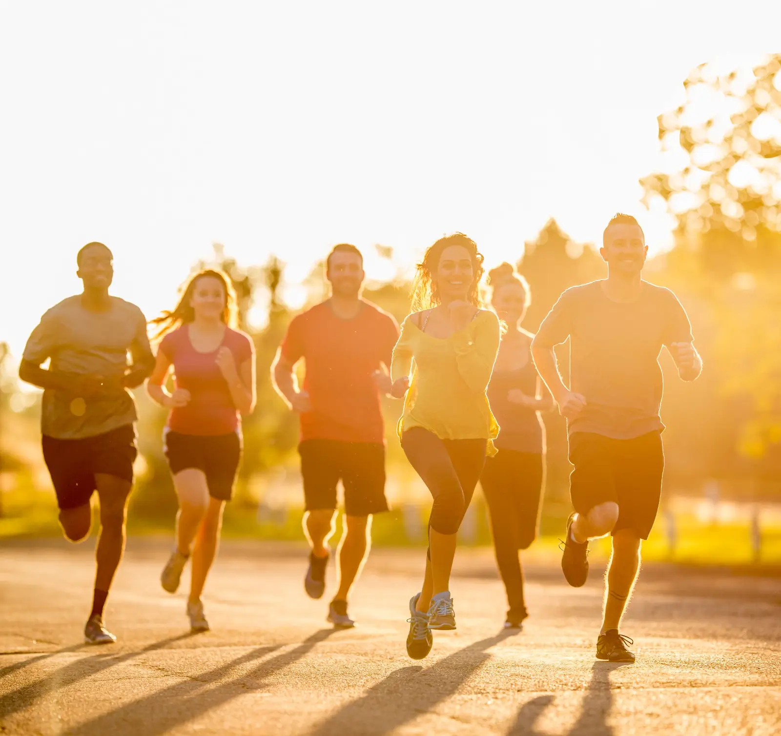 Programas de Atividade Física